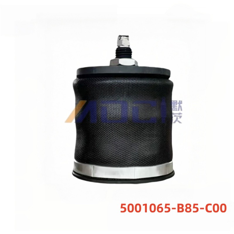 FAW TRUCKS J6 5001065-B85-C00 Truck Series Shock Absorber